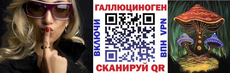 KRAKEN зеркало  сколько стоит  Сибай  Галлюциногенные грибы Magic Shrooms 